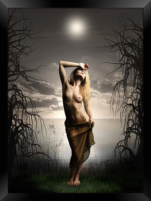 Moonlight Maiden Framed Print by Julie Hoddinott