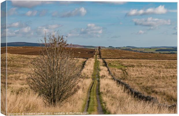 Botany Road, Teesdale Canvas Print by Richard Laidler