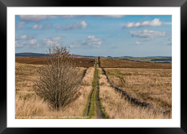 Botany Road, Teesdale Framed Mounted Print by Richard Laidler
