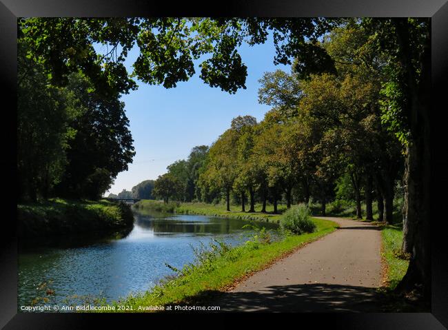 Canal Du Rhone Au Rhin near Dole Framed Print by Ann Biddlecombe