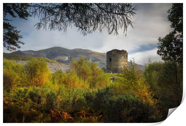 Dolbadarn Castle in Autumn Print by Alan Le Bon