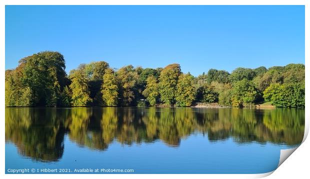 Autumn Reflection Print by I Hibbert