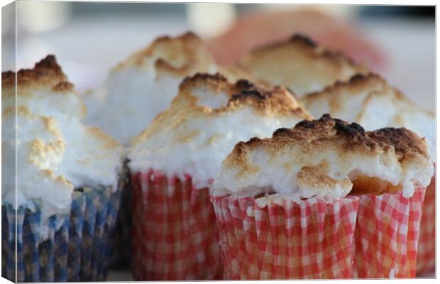 A close up of a piece of cake on a plate Canvas Print by Christopher Stores