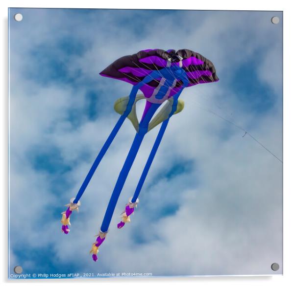 Monster Kite Acrylic by Philip Hodges aFIAP ,