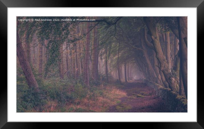 Darwin forrest Framed Mounted Print by Paul Andrews
