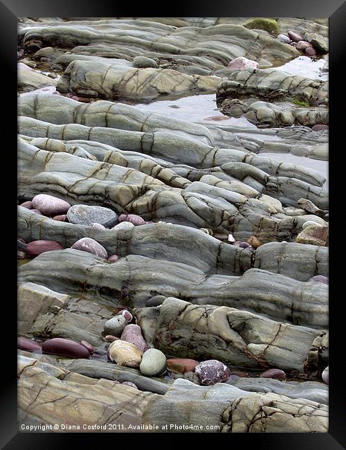 Pembrokeshire Beach Paving Rock Framed Print by DEE- Diana Cosford