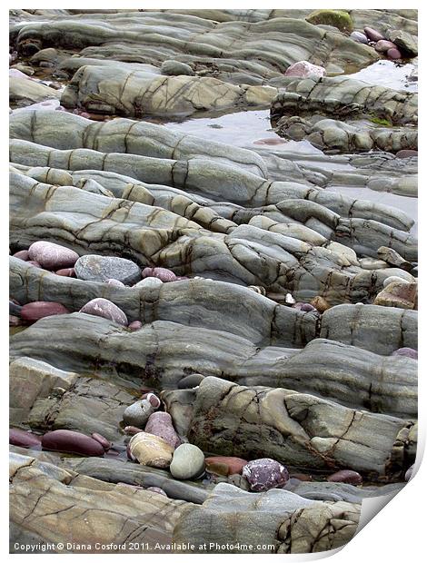 Pembrokeshire Beach Paving Rock Print by DEE- Diana Cosford