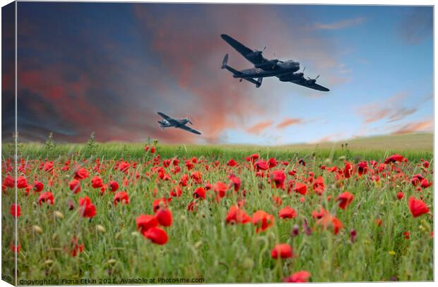 Warplanes over Poppy fields Canvas Print by Fiona Etkin