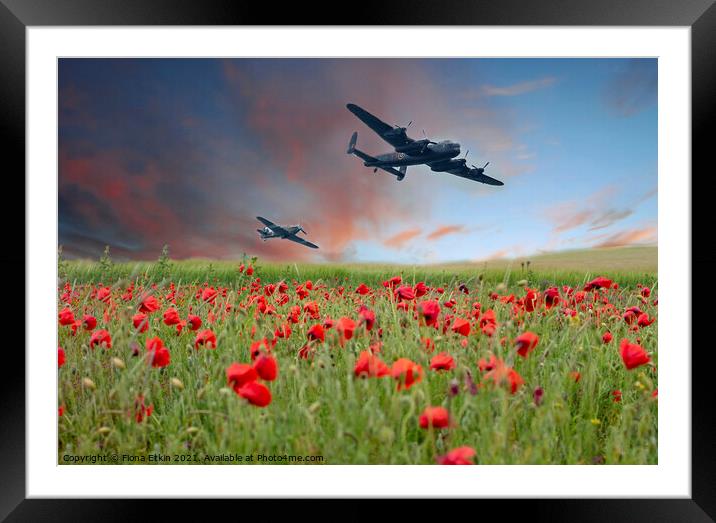Warplanes over Poppy fields Framed Mounted Print by Fiona Etkin