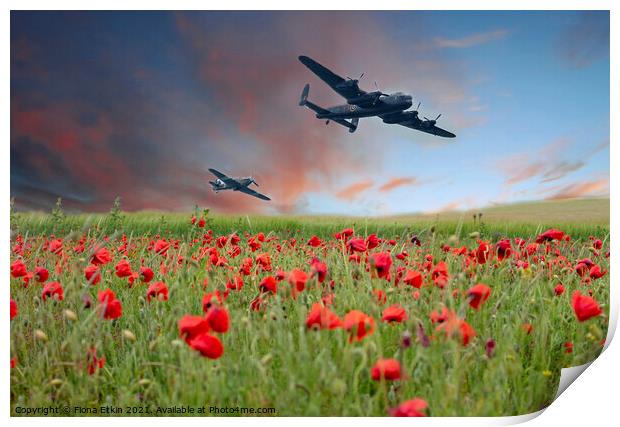 Warplanes over Poppy fields Print by Fiona Etkin