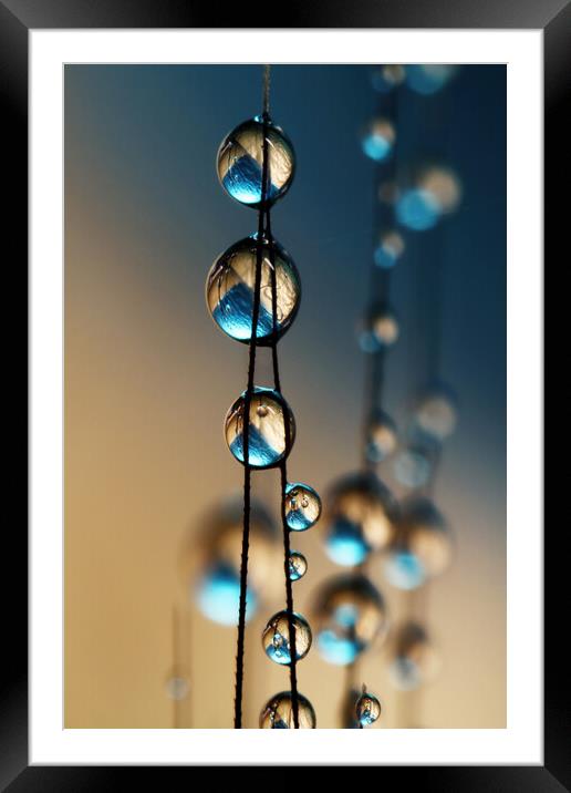 Denim Blue Grass Seed Drops Framed Mounted Print by Sharon Johnstone