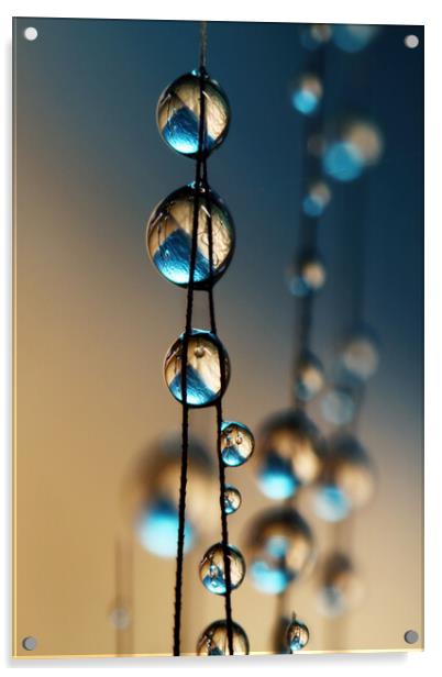 Denim Blue Grass Seed Drops Acrylic by Sharon Johnstone