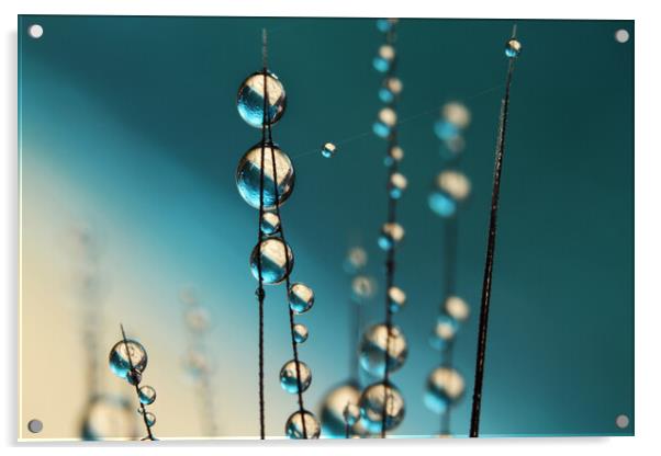 Grass Seed Drops with Blue Acrylic by Sharon Johnstone