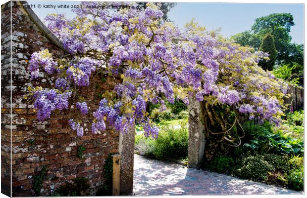 wisteria of Heligan Canvas Print by kathy white