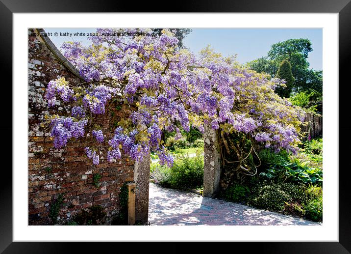 wisteria of Heligan Framed Mounted Print by kathy white