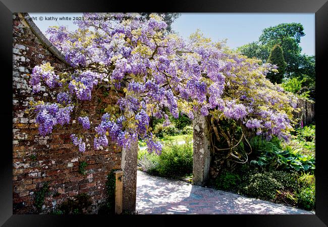 wisteria of Heligan Framed Print by kathy white