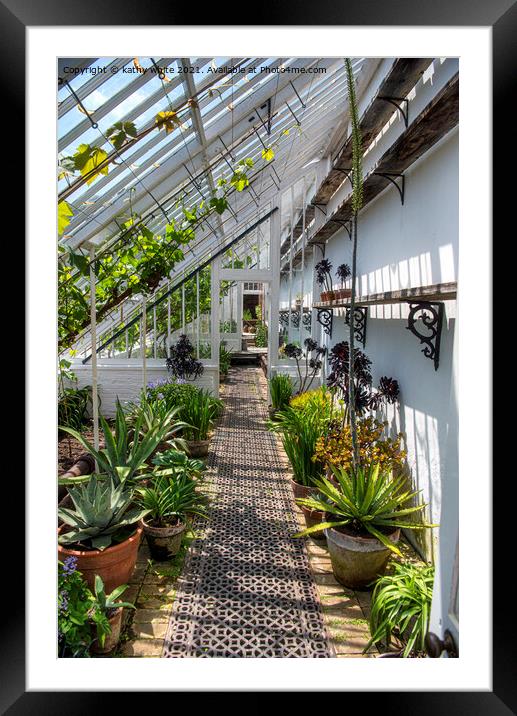 The Lost Gardens of Heligan, greenhouse Framed Mounted Print by kathy white