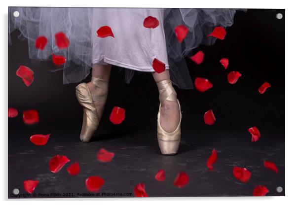 Ballet Slippers and Rose Petals Acrylic by Fiona Etkin