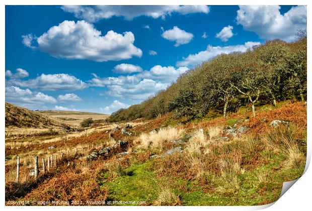 Ancient Oak Woodland at Sunrise Print by Roger Mechan