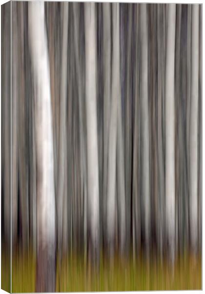 Abstract Trees in Wood Canvas Print by Arterra 
