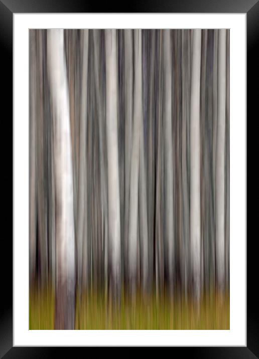 Abstract Trees in Wood Framed Mounted Print by Arterra 