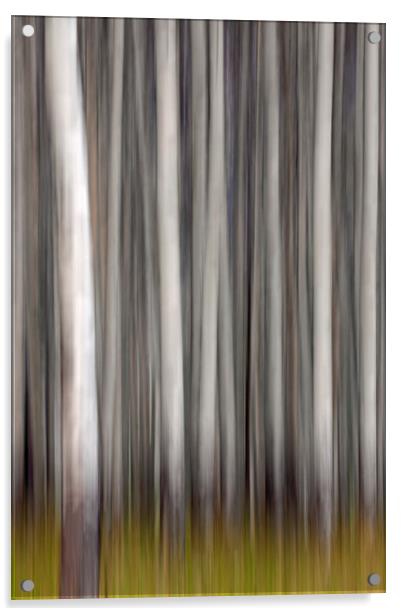 Abstract Trees in Wood Acrylic by Arterra 