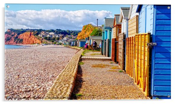 Budleigh Salterton Beach Huts Acrylic by Peter F Hunt
