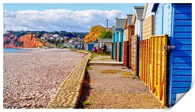 Budleigh Salterton Beach Huts Print by Peter F Hunt