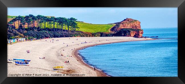 The Curve Of The Beach Budleigh Salterton Framed Print by Peter F Hunt