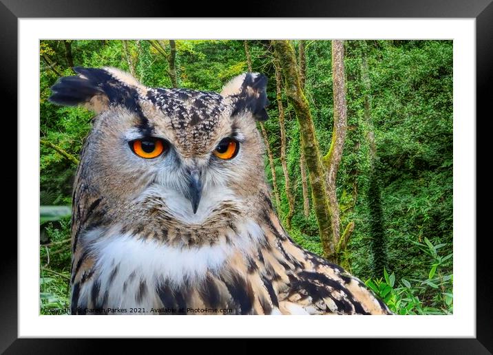 Eagle Owl (Bubo bubo) Framed Mounted Print by Gareth Parkes