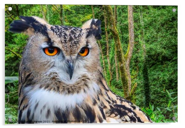 Eagle Owl (Bubo bubo) Acrylic by Gareth Parkes