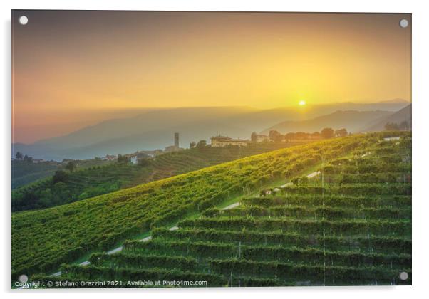 Prosecco Hills, vineyards and San Pietro di Barbozza village. Acrylic by Stefano Orazzini