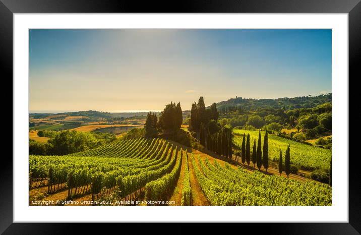 Casale Marittimo vineyards, landscape in Maremma. Framed Mounted Print by Stefano Orazzini