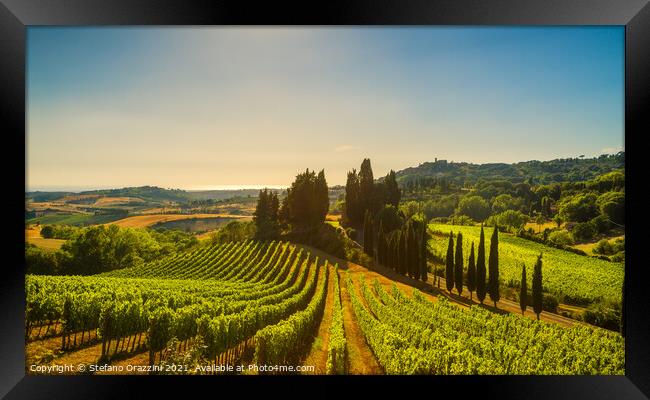 Casale Marittimo vineyards, landscape in Maremma. Framed Print by Stefano Orazzini