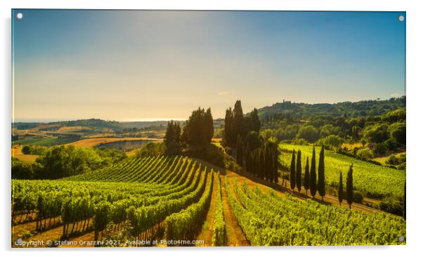 Casale Marittimo vineyards, landscape in Maremma. Acrylic by Stefano Orazzini