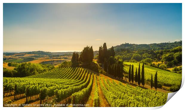 Casale Marittimo vineyards, landscape in Maremma. Print by Stefano Orazzini