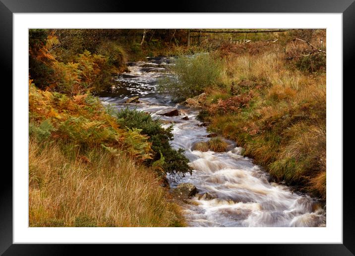 AUTUMN WATER Framed Mounted Print by andrew saxton