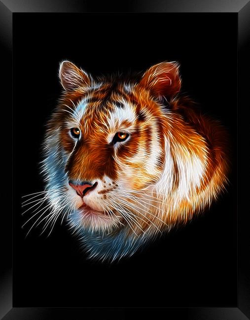 Zeus, Tiger Fractal Art Framed Print by Julie Hoddinott