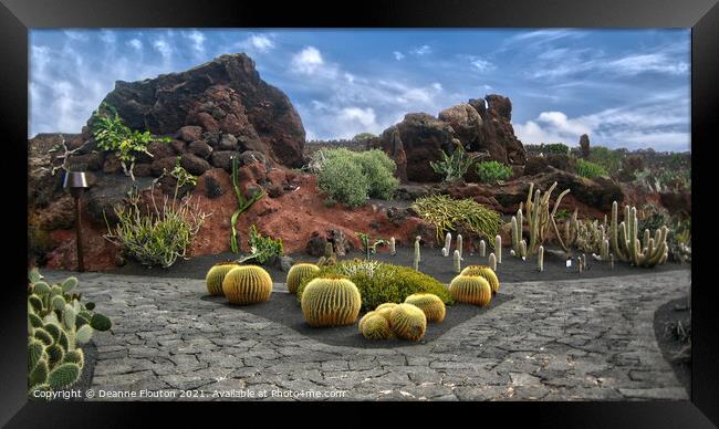  Cactus Garden Oasis Framed Print by Deanne Flouton