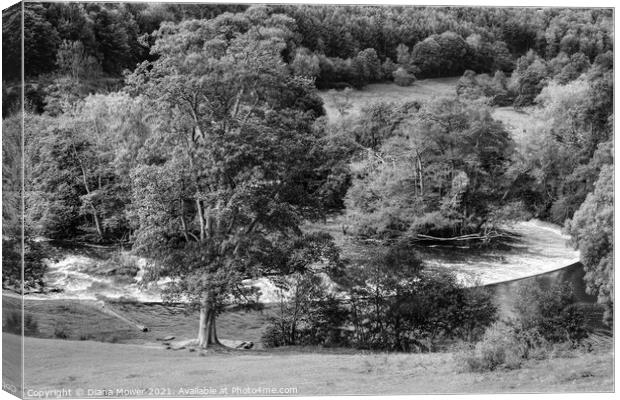 Horseshoe Falls Llangollen black and white Canvas Print by Diana Mower