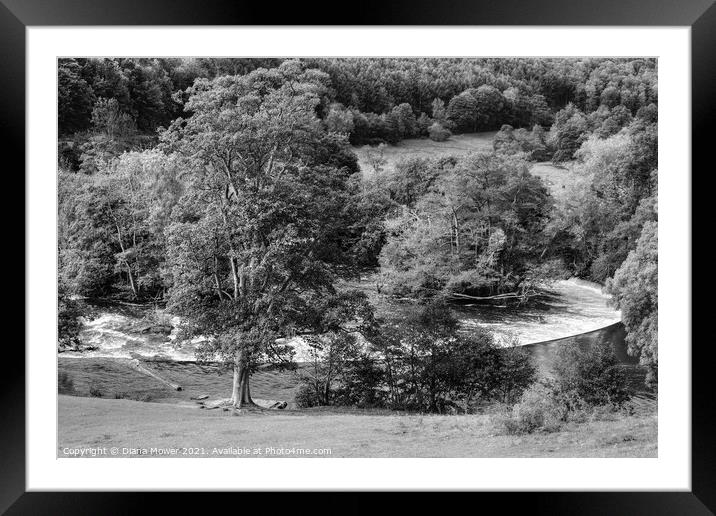 Horseshoe Falls Llangollen black and white Framed Mounted Print by Diana Mower