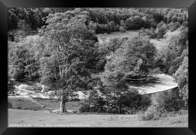 Horseshoe Falls Llangollen black and white Framed Print by Diana Mower