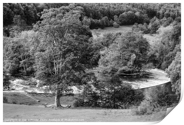 Horseshoe Falls Llangollen black and white Print by Diana Mower