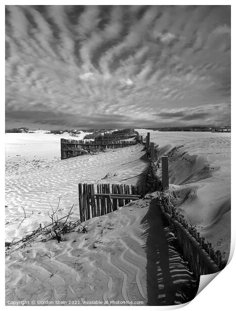 Textures in Portrait Print by Gordon Stein