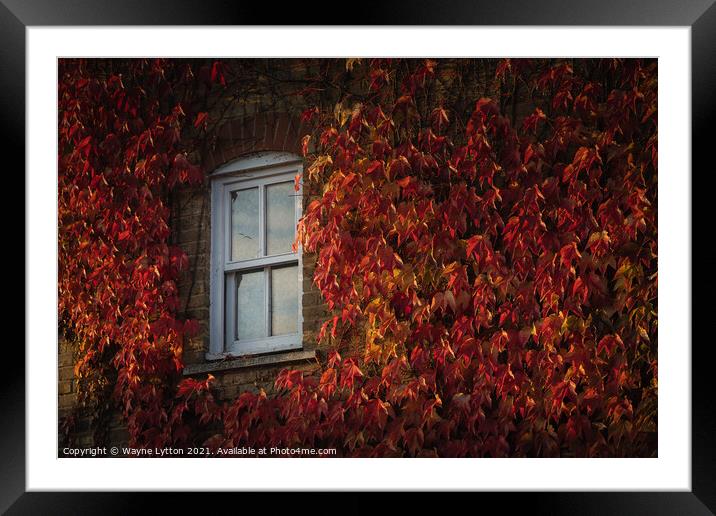 Autumn views Framed Mounted Print by Wayne Lytton