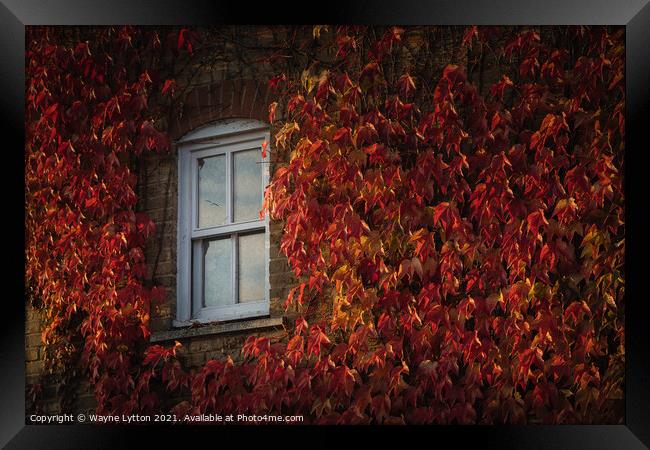 Autumn views Framed Print by Wayne Lytton