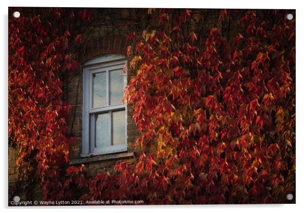 Autumn views Acrylic by Wayne Lytton