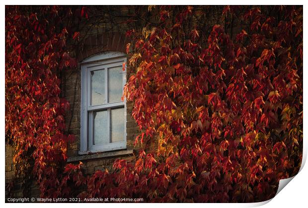 Autumn views Print by Wayne Lytton