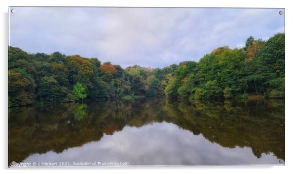 Knypersley Pool Reflection Acrylic by I Hibbert