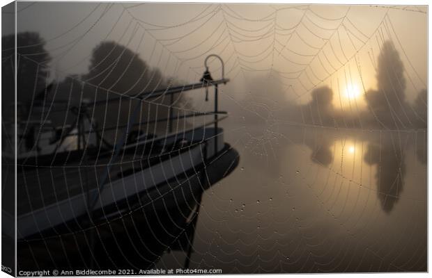 A spiders view of the misty sunrise Canvas Print by Ann Biddlecombe